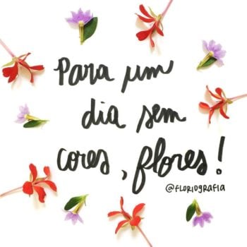 Cores e flores