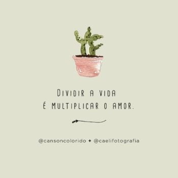 Dividir a vida