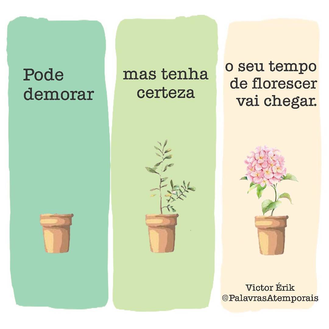 Pode demorar, mas tenha certeza o seu tempo de florescer vai chegar.