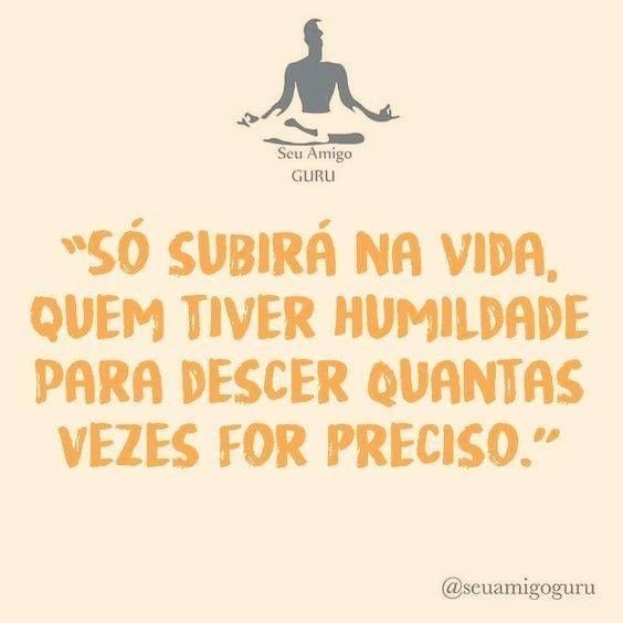 Só subirá na vida, quem tiver humildade para descer quantas vezes for preciso.