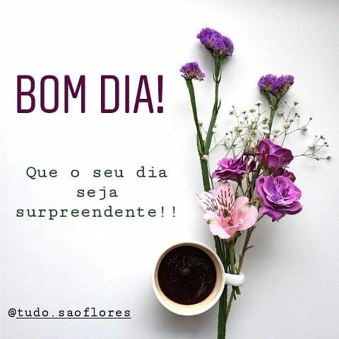 Bom dia! Que o seu dia seja surpreendente! 