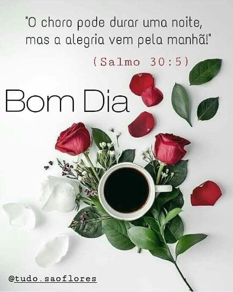 Bom dia. 