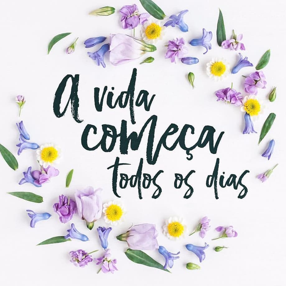 A vida começa todos os dias. 