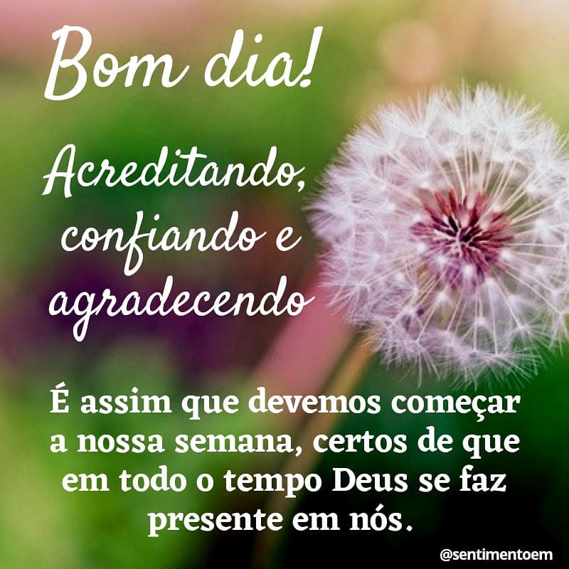 Bom dia! Acreditando, confiando e agradecendo. É assim que devemos começar a nossa semana, certos de que em todo o tempo Deus se faz presente em nós.