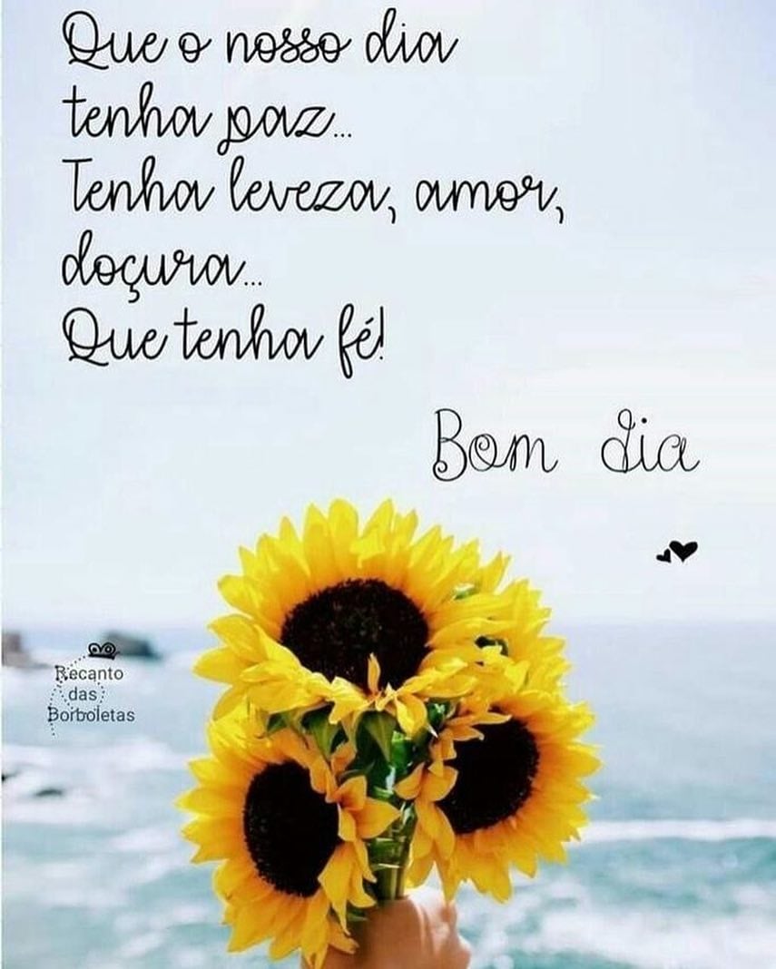 Que o nosso dia tenha paz... Tenha leveza, amor, doçura... Que tenha fé! Bom dia.