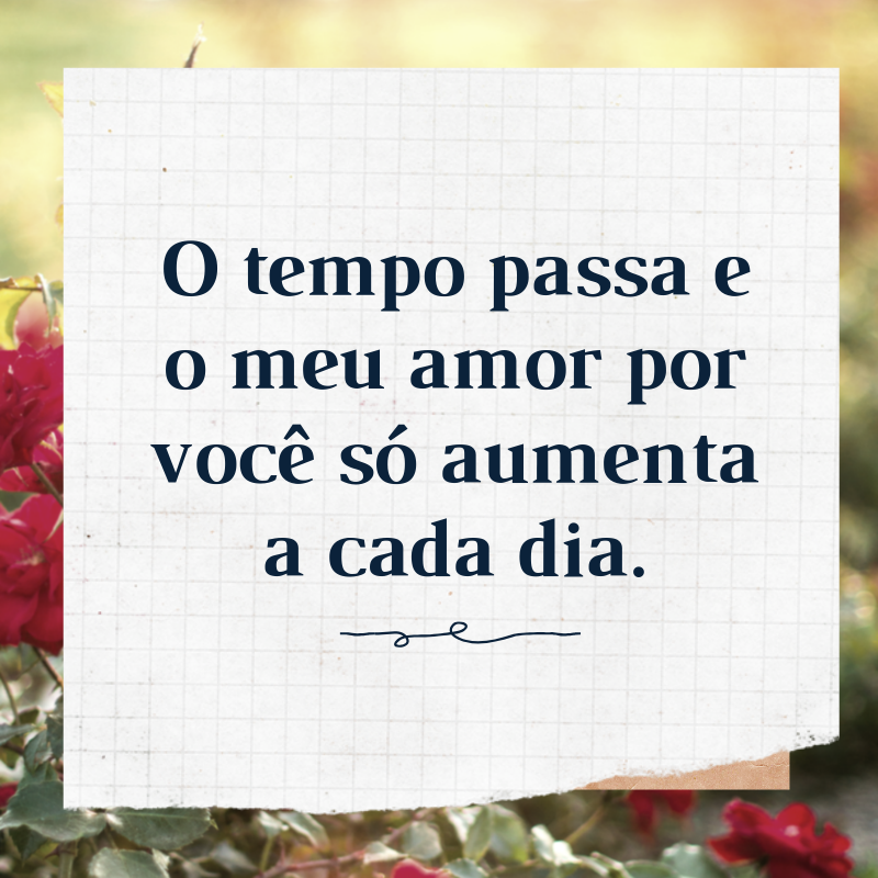 O tempo passa e o meu amor por você só aumenta a cada dia.