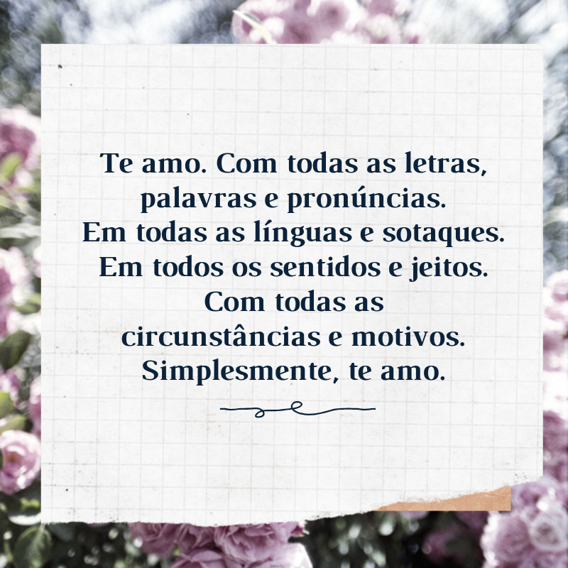 Te amo. Com todas as letras, palavras e pronúncias. Em todas as línguas e sotaques. Em todos os sentidos e jeitos. Com todas as circunstâncias e motivos. Simplesmente, te amo.