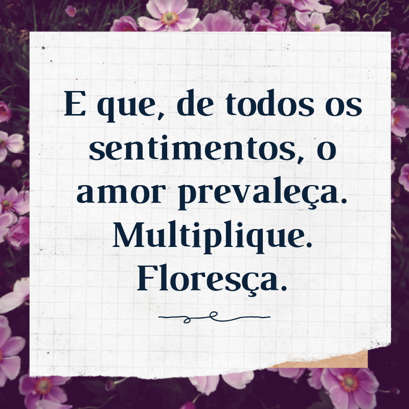 E que, de todos os sentimentos, o amor prevaleça. Multiplique. Floresça.