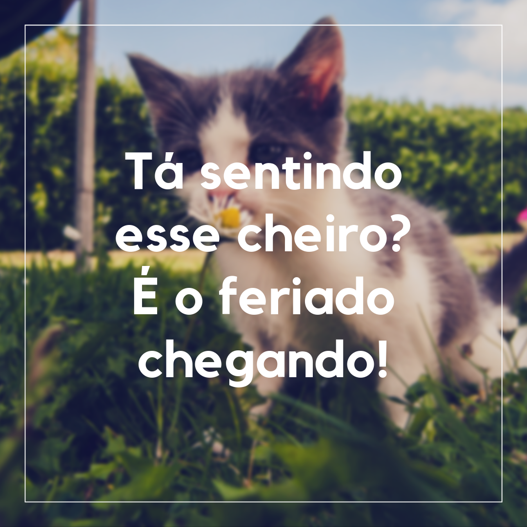 Tá sentindo esse cheiro? É o feriado chegando!