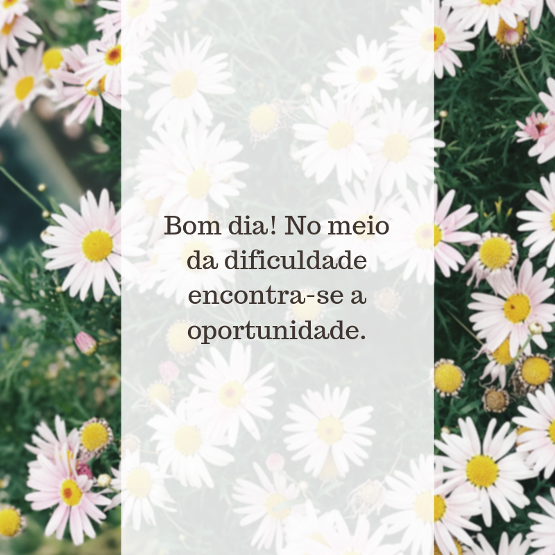 Bom dia! No meio da dificuldade encontra-se a oportunidade.