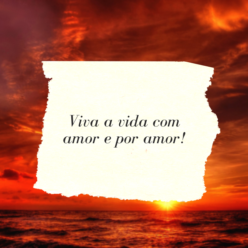 Viva a vida com amor e por amor!