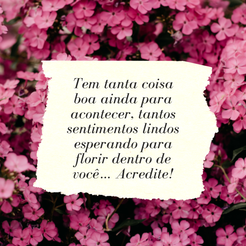 Tem tanta coisa boa ainda para acontecer, tantos sentimentos lindos esperando para florir dentro de você… Acredite!