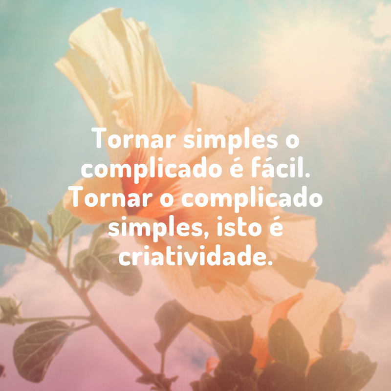 Tornar simples o complicado é fácil. Tornar o complicado simples, isto é criatividade.