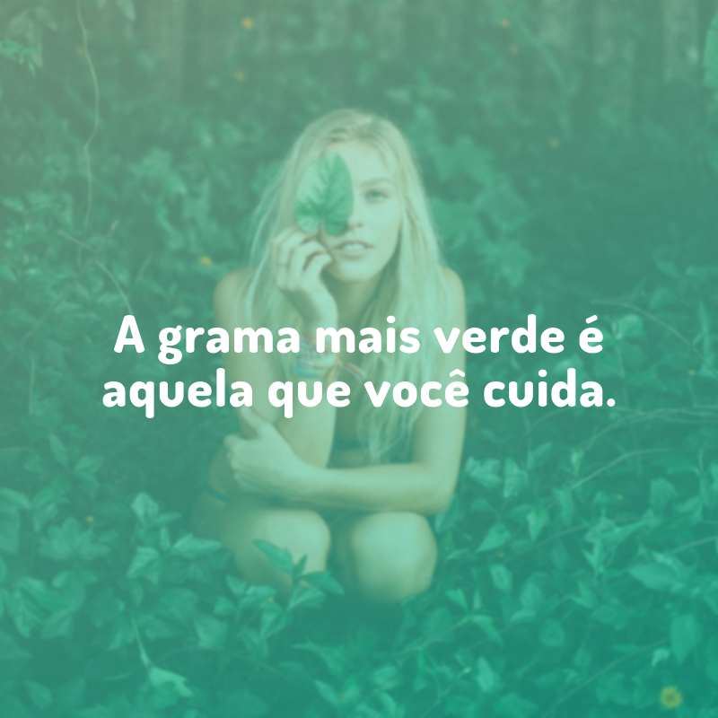 A grama mais verde é aquela que você cuida.