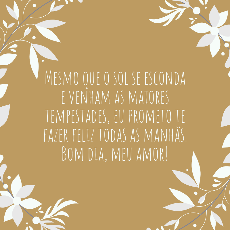 Mesmo que o sol se esconda e venham as maiores tempestades, eu prometo te fazer feliz todas as manhãs. Bom dia, meu amor!