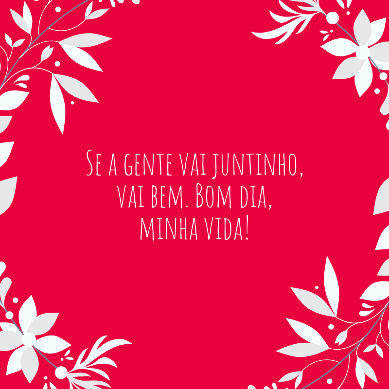 Se a gente vai juntinho, vai bem. Bom dia, minha vida!