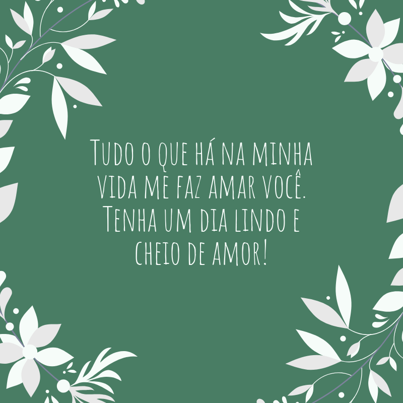 Tudo o que há na minha vida me faz amar você. Tenha um dia lindo e cheio de amor!