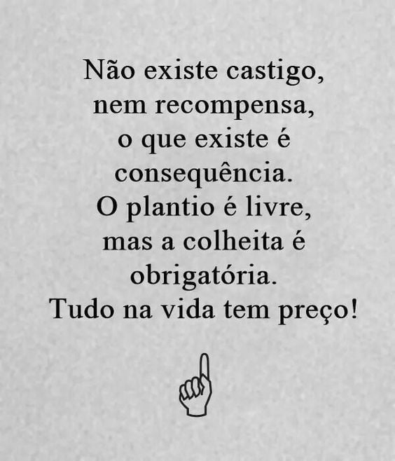 Não existe castigo, nem recompensa, o que existe é a consequência. O plantio é livre, mas a colheita é obrigatória. Tudo na vida tem preço! 