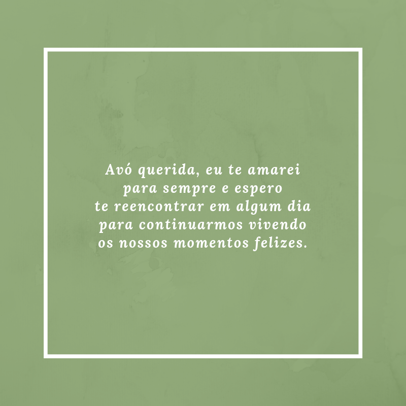 Avó querida, eu te amarei para sempre e espero te reencontrar em algum dia para continuarmos vivendo os nossos momentos felizes.