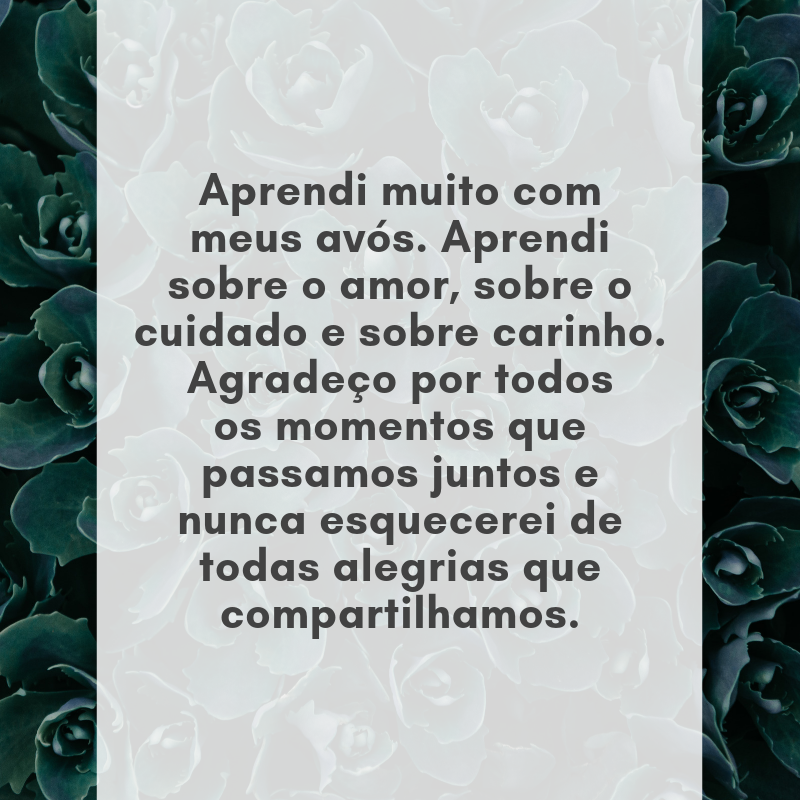 Aprendi muito com meus avós. Aprendi sobre o amor, sobre o cuidado e sobre carinho. Agradeço por todos os momentos que passamos juntos e nunca esquecerei de todas alegrias que compartilhamos.