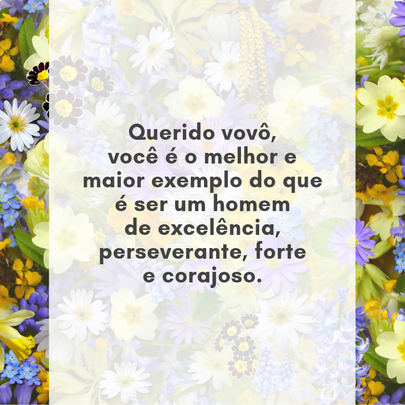 Querido vovô, você é o melhor e maior exemplo do que é ser um homem de excelência, perseverante, forte e corajoso.