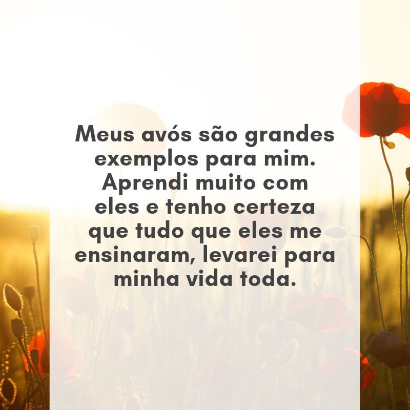 Meus avós são grandes exemplos para mim. Aprendi muito com eles e tenho certeza que tudo que eles me ensinaram, levarei para minha vida toda.