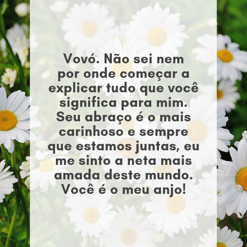 Vovó, não sei nem por onde começar a explicar tudo que você significa para mim. Seu abraço é o mais carinhoso e sempre que estamos juntas, eu me sinto a neta mais amada deste mundo. Você é o meu anjo!