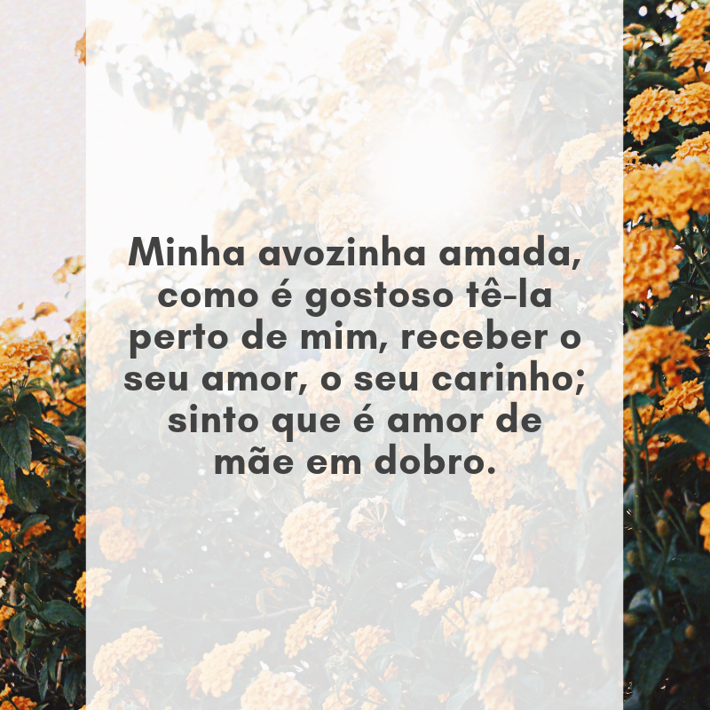 Minha avozinha amada, como é gostoso tê-la perto de mim, receber o seu amor, o seu carinho; sinto que é amor de mãe em dobro.