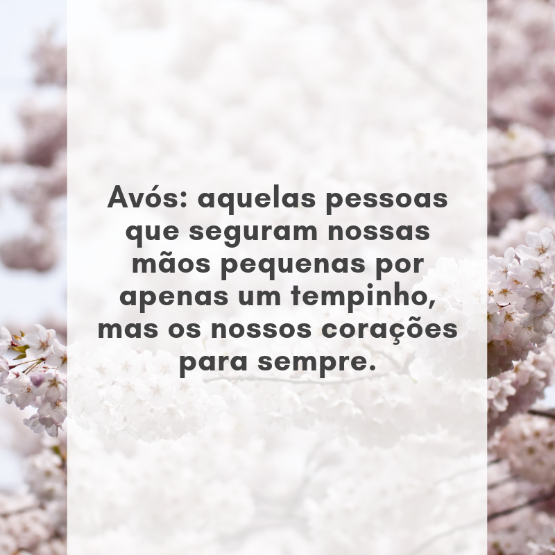 Avós: aquelas pessoas que seguram nossas mãos pequenas por apenas um tempinho, mas os nossos corações para sempre.
