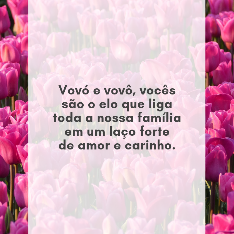 Vovó e vovô, vocês são o elo que liga toda a nossa família em um laço forte de amor e carinho.