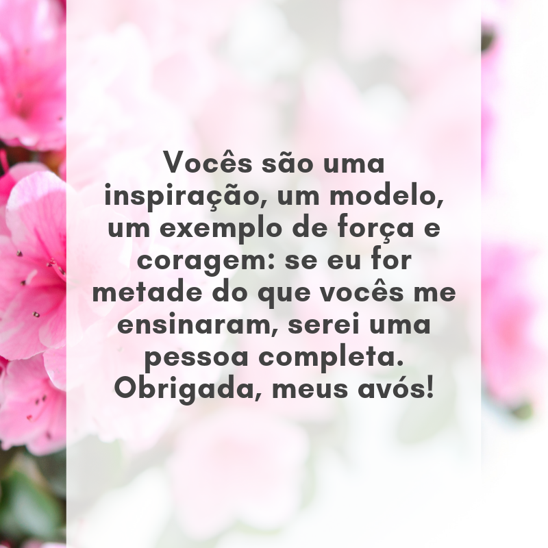 Vocês são uma inspiração, um modelo, um exemplo de força e coragem: se eu for metade do que vocês me ensinaram, serei uma pessoa completa. Obrigada, meus avós!