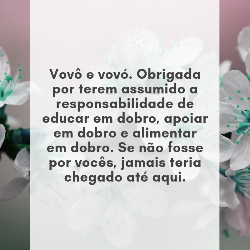 Vovô e vovó. Obrigada por terem assumido a responsabilidade de educar em dobro, apoiar em dobro e alimentar em dobro. Se não fosse por vocês, jamais teria chegado até aqui.