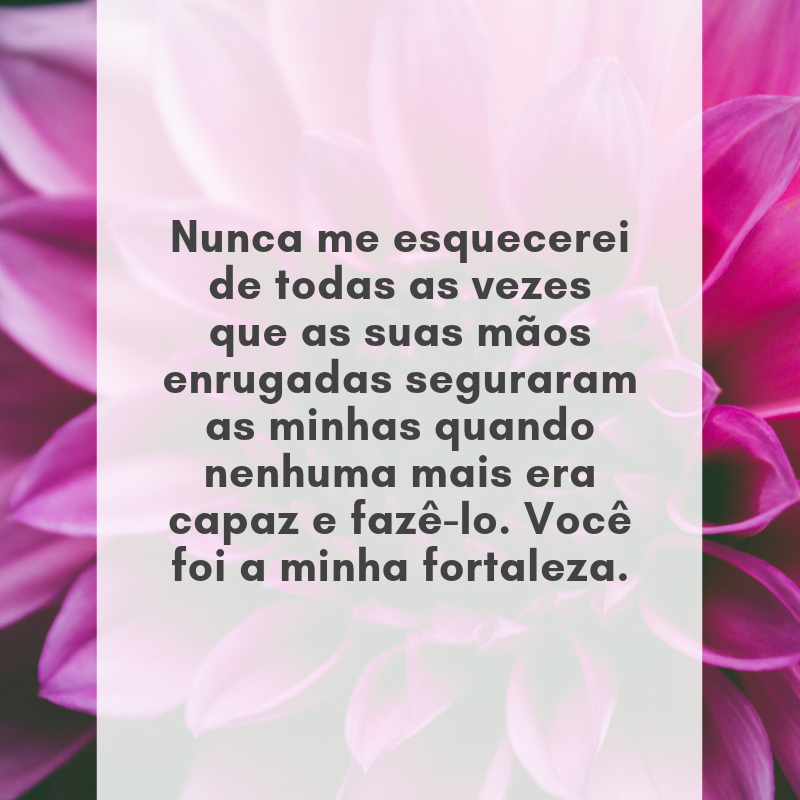 Nunca me esquecerei de todas as vezes que as suas mãos enrugadas seguraram as minhas quando nenhuma mais era capaz e fazê-lo. Você foi a minha fortaleza.