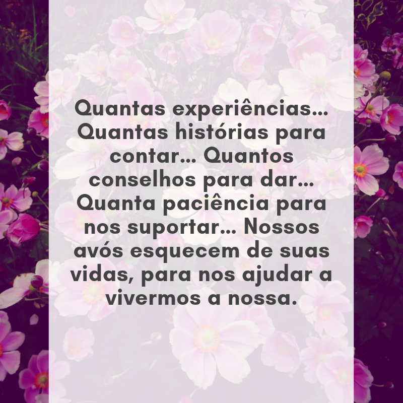 Quantas experiências… Quantas histórias para contar… Quantos conselhos para dar… Quanta paciência para nos suportar… Nossos avós esquecem de suas vidas para nos ajudar a vivermos a nossa.