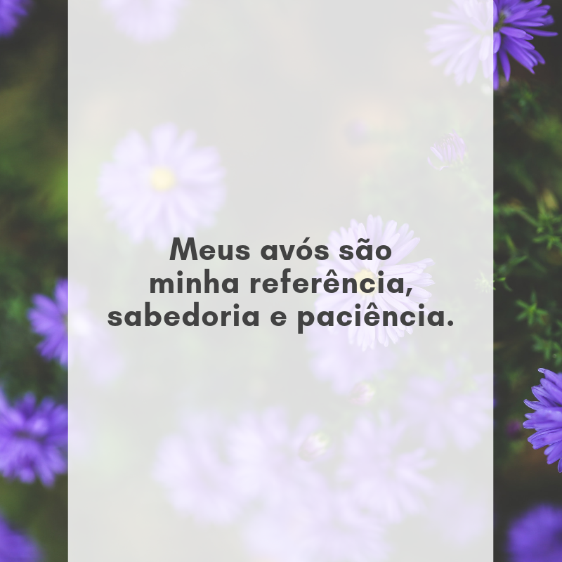 Meus avós são minha referência, sabedoria e paciência.