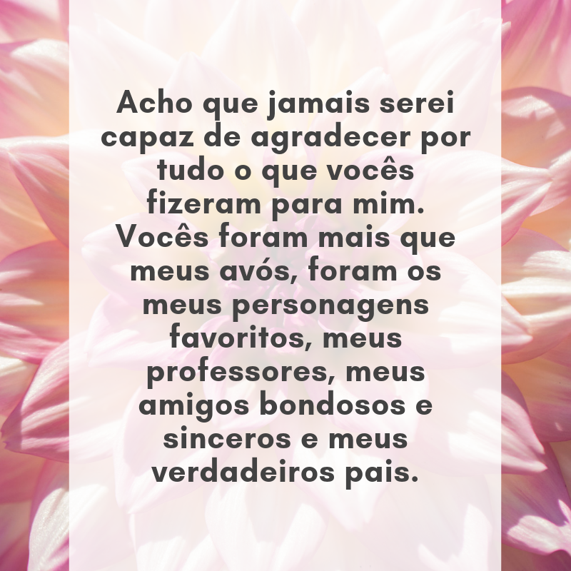 Acho que jamais serei capaz de agradecer por tudo o que vocês fizeram para mim. Vocês foram mais que meus avós, foram os meus personagens favoritos, meus professores, meus amigos bondosos e sinceros, e meus verdadeiros pais.