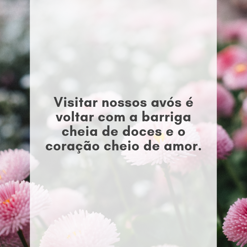 Visitar nossos avós é voltar com a barriga cheia de doces e o coração cheio de amor.