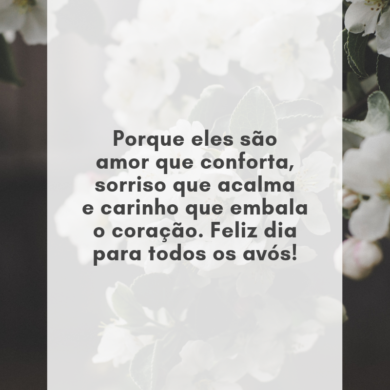 Porque eles são amor que conforta, sorriso que acalma e carinho que embala o coração. Feliz dia para todos os avós!