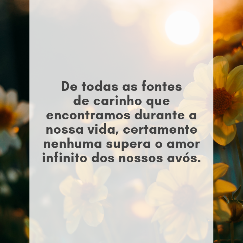 De todas as fontes de carinho que encontramos durante a nossa vida, certamente nenhuma supera o amor infinito dos nossos avós.