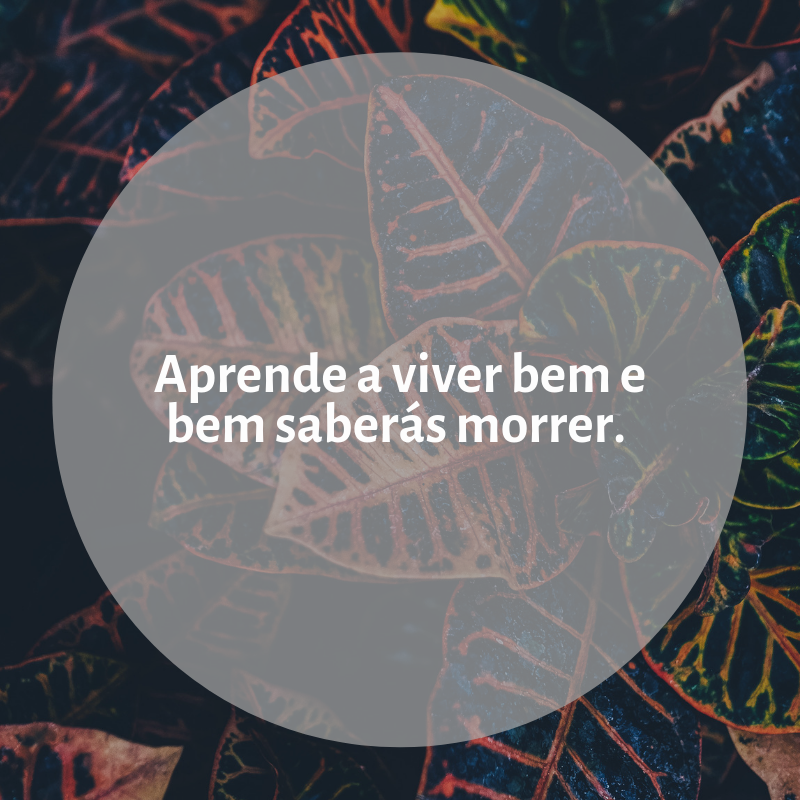 Aprende a viver bem e bem saberás morrer. 