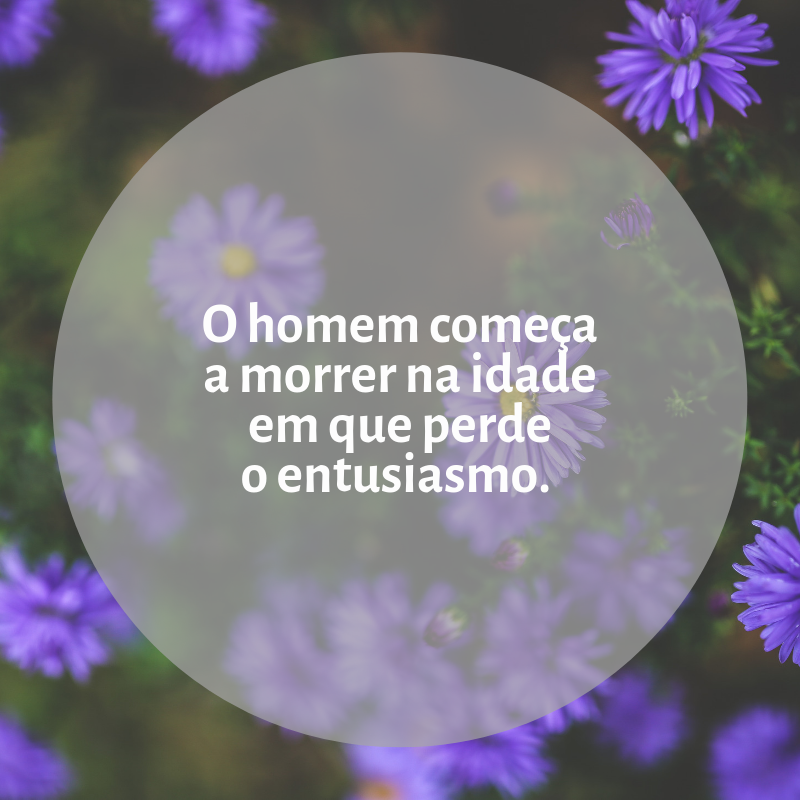 O homem começa a morrer na idade em que perde o entusiasmo. 