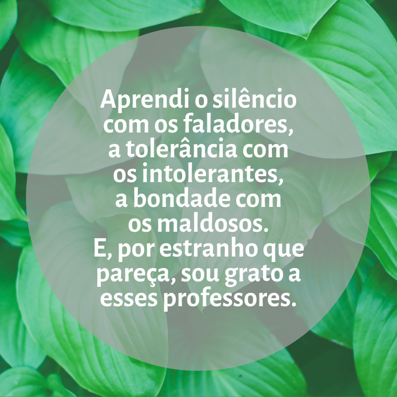 Aprendi o silêncio com os faladores, a tolerância com os intolerantes, a bondade com os maldosos. E, por estranho que pareça, sou grato a esses professores.