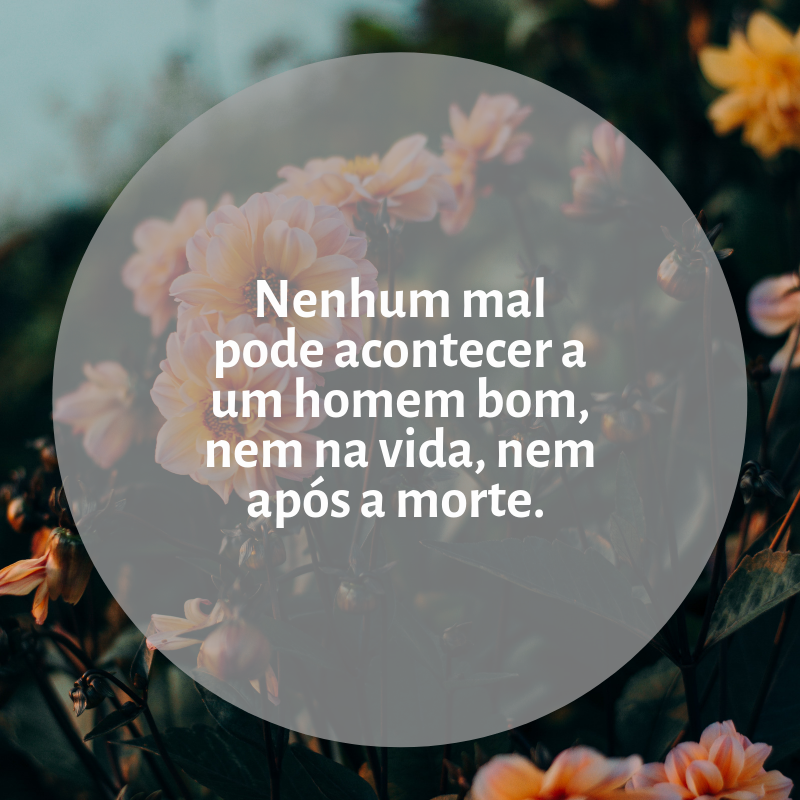 Nenhum mal pode acontecer a um homem bom, nem na vida, nem após a morte. 