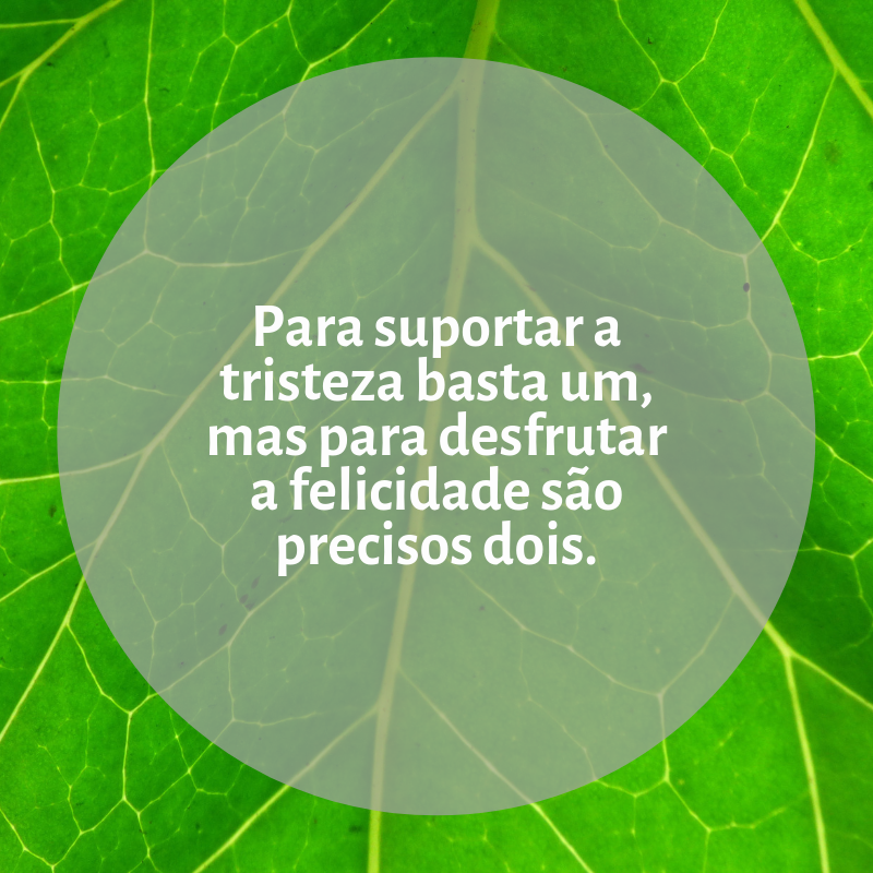 Para suportar a tristeza basta um, mas para desfrutar a felicidade são precisos dois.