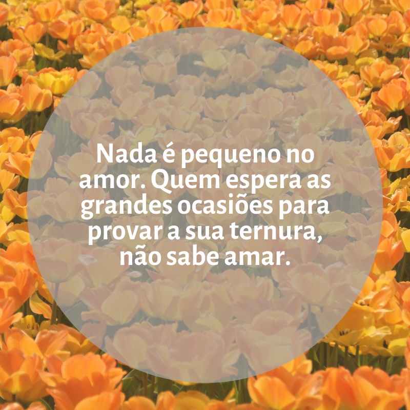 Nada é pequeno no amor. Quem espera as grandes ocasiões para provar a sua ternura, não sabe amar.