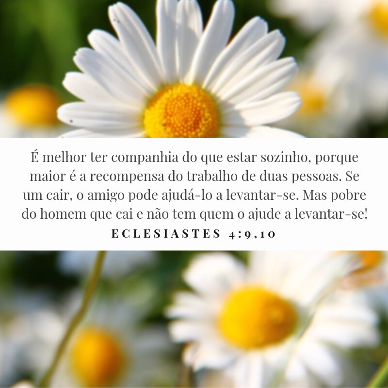 É melhor ter companhia do que estar sozinho, porque maior é a recompensa do trabalho de duas pessoas. Se um cair, o amigo pode ajudá-lo a levantar-se. Mas pobre do homem que cai e não tem quem o ajude a levantar-se!