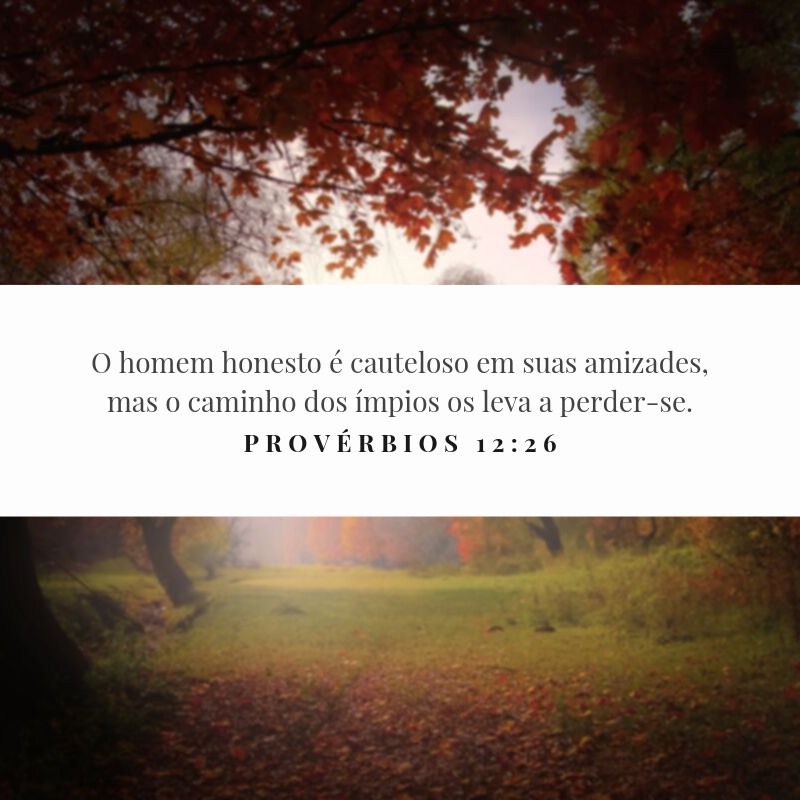 O homem honesto é cauteloso em suas amizades, mas o caminho dos ímpios os leva a perder-se.