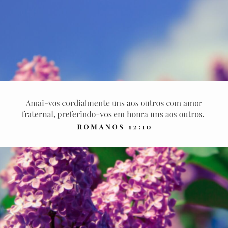 Amai-vos cordialmente uns aos outros com amor fraternal, preferindo-vos em honra uns aos outros. 