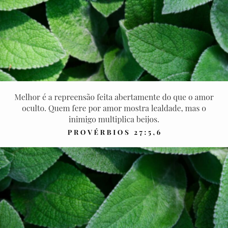 Melhor é a repreensão feita abertamente do que o amor oculto. Quem fere por amor mostra lealdade, mas o inimigo multiplica beijos.