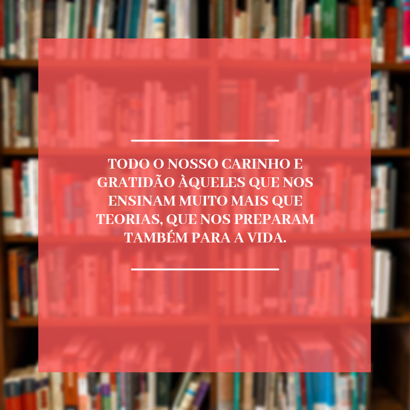 Todo o nosso carinho e gratidão àqueles que nos ensinam muito mais que teorias, que nos preparam também para a vida.